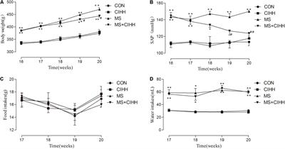 The Effect of Autophagy on Chronic Intermittent Hypobaric Hypoxia Ameliorating Liver Damage in Metabolic Syndrome Rats